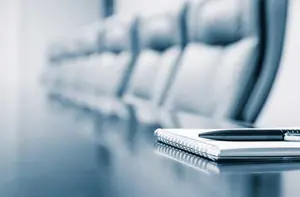 Governance Structure ?? title